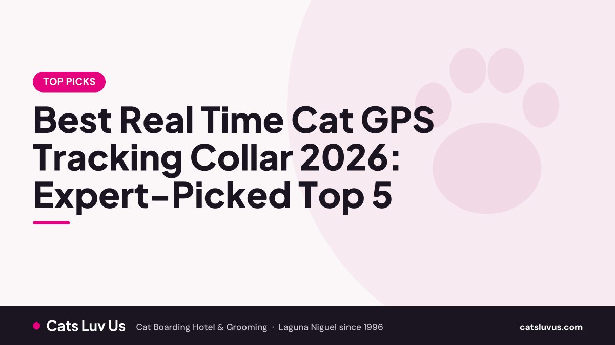 Best Real Time Cat GPS Tracking Collar 2026: Expert-Picked Top 5