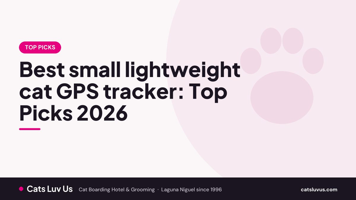 Best small lightweight cat GPS tracker: Top Picks 2026