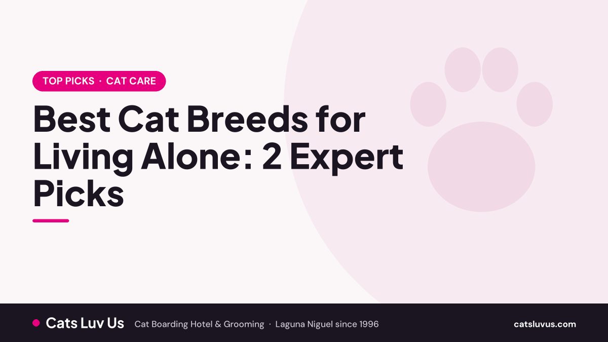 Best Cat Breeds for Living Alone: 2 Expert Picks