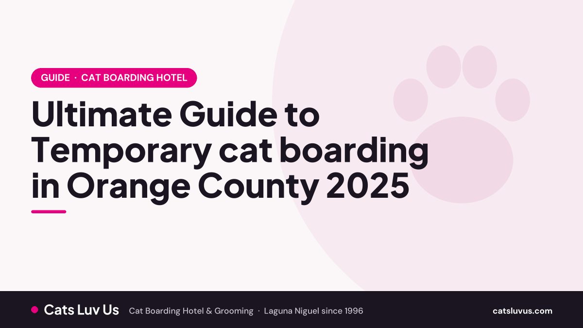 Ultimate Guide to Temporary cat boarding in Orange County 2025