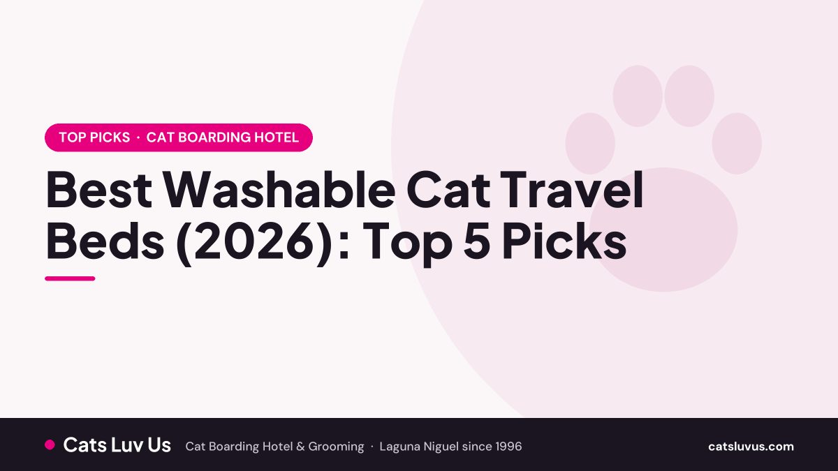 Best Washable Cat Travel Beds (2026): Top 5 Picks